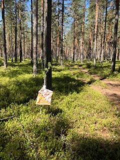 Tour de ROL gjenoppstår